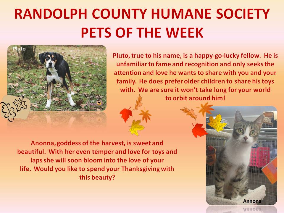 This image has an empty alt attribute; its file name is RANDOLPH-COUNTY-HUMANE-SOCIETY-69.jpg