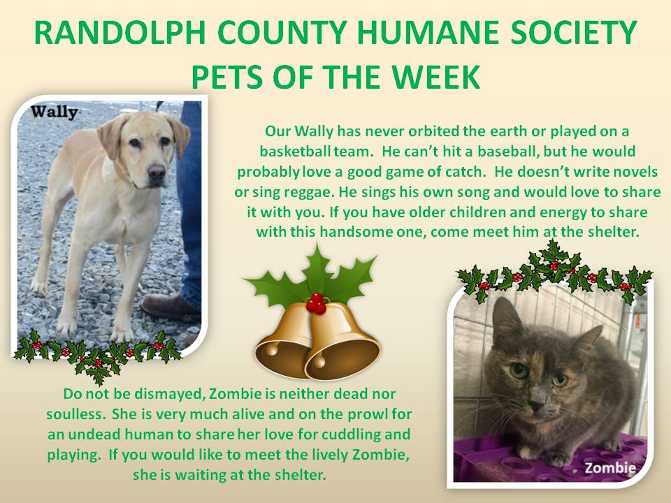 This image has an empty alt attribute; its file name is RANDOLPH-COUNTY-HUMANE-SOCIETY-70.jpg