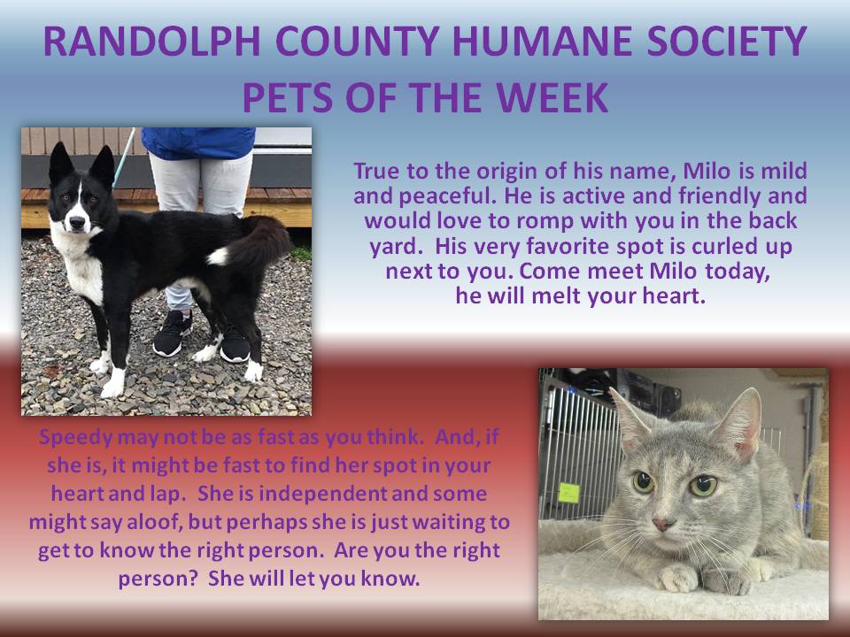 This image has an empty alt attribute; its file name is RANDOLPH-COUNTY-HUMANE-SOCIETY-71.jpg