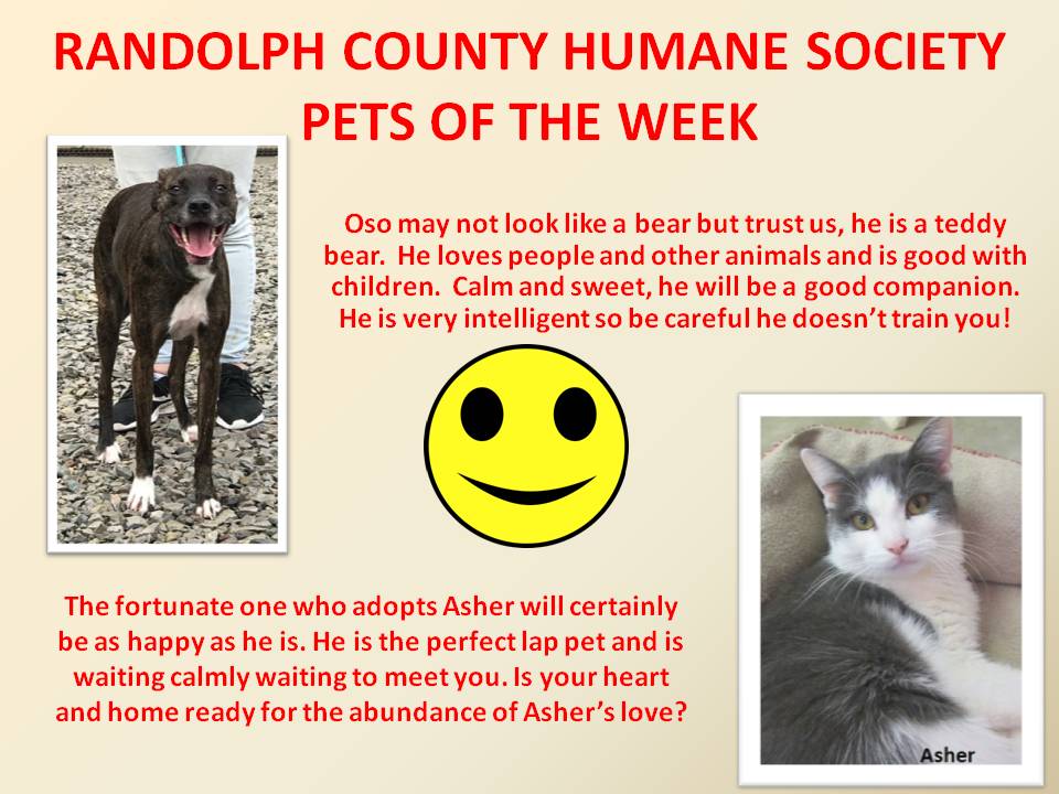 This image has an empty alt attribute; its file name is RANDOLPH-COUNTY-HUMANE-SOCIETY-72.jpg
