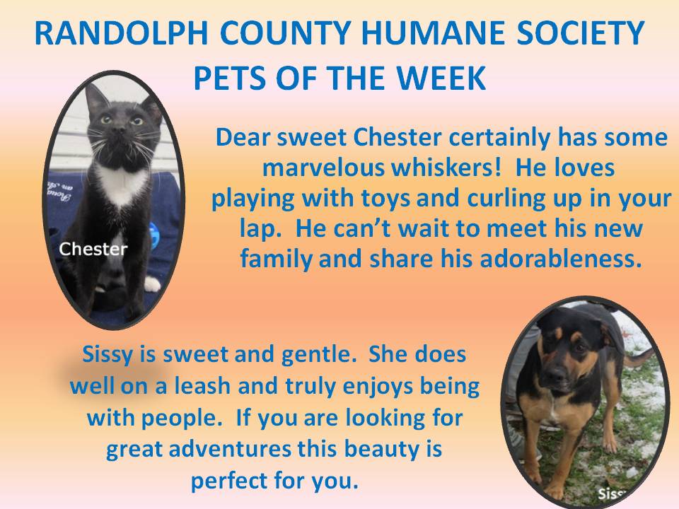 This image has an empty alt attribute; its file name is RANDOLPH-COUNTY-HUMANE-SOCIETY-75.jpg