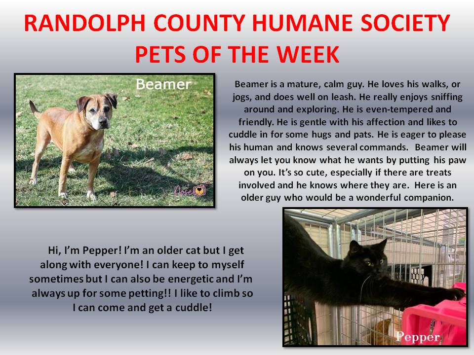 This image has an empty alt attribute; its file name is RANDOLPH-COUNTY-HUMANE-SOCIETY-77.jpg
