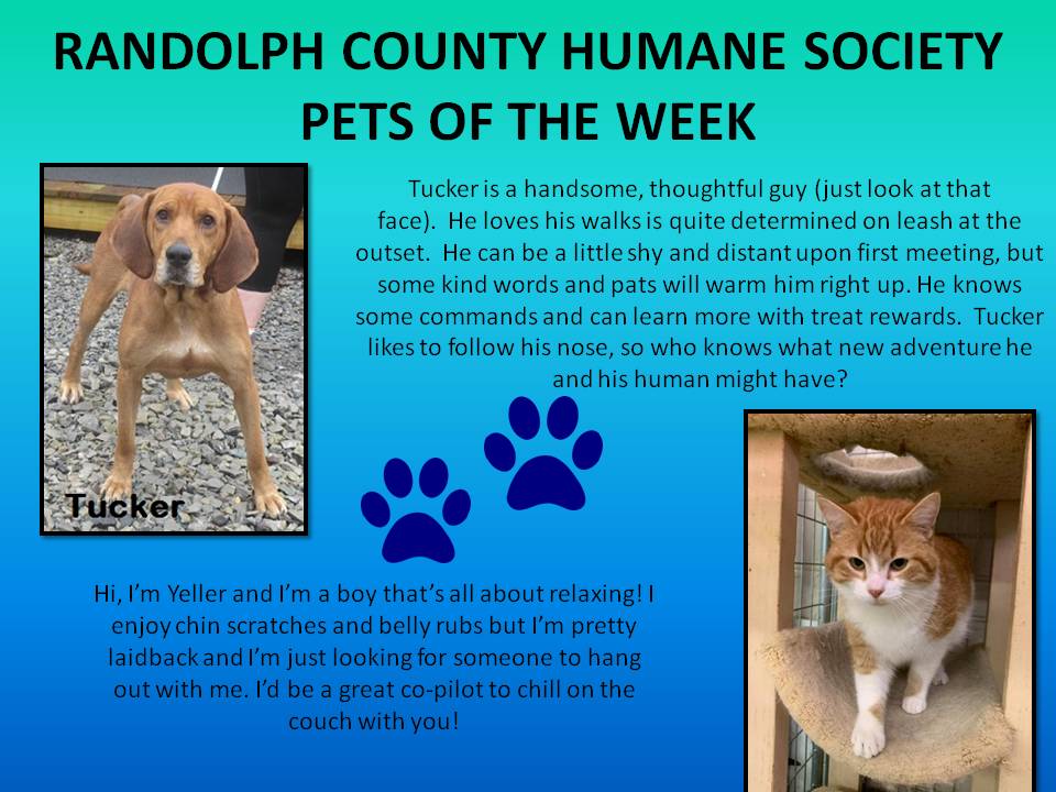 This image has an empty alt attribute; its file name is RANDOLPH-COUNTY-HUMANE-SOCIETY-78.jpg